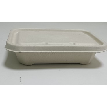 Bagasse Rectangular Container With Lid |Biodegradable | Pack of 500 pcs