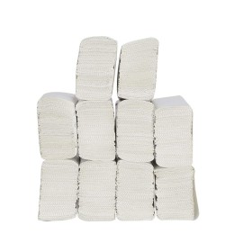 Toilet Roll 300 Pulls (100 gm) 2 Ply