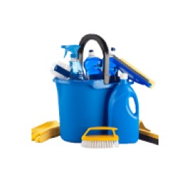 Cleaning Supplies (22)